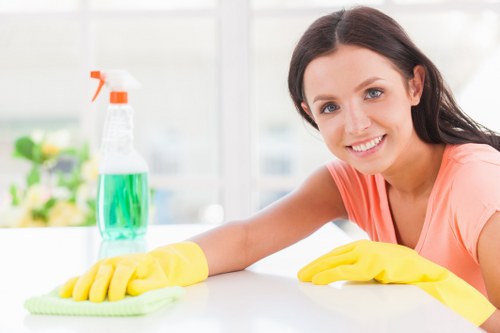 Professional upholstery cleaning for a Knightsbridge living room sofa