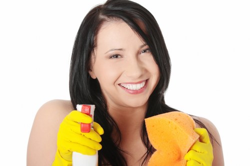 Deep cleaning a modern Knightsbridge kitchen and bathroom