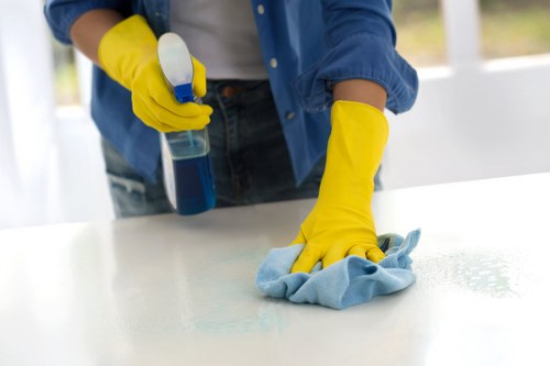 Cleaner preparing a Knightsbridge home for move-in with cupboard and surface cleaning