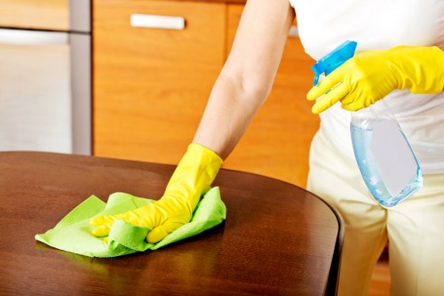 Professional cleaning team working in a Knightsbridge property
