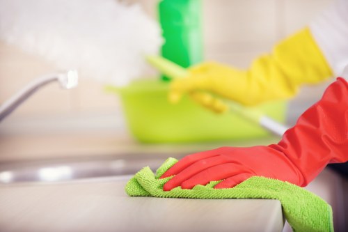 Professional gutter cleaning for a Knightsbridge home or business