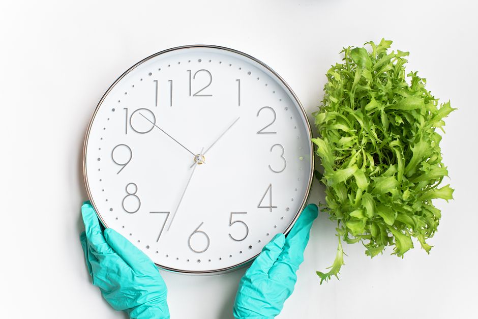 A pair of gloved hands holding a large round white wall clock with black numerals and minute markers, showing a time close to 1:49, positioned on a white surface. Next to the clock, there is a fresh green leafy lettuce plant. The lighting is bright and even, highlighting the clean and tidy appearance of the scene, which emphasizes surface cleaning and maintenance. This image relates to the topic of same-day cleaners' delays and common problems in Knightsbridge, as managed by Cleaners Knightsbridge, highlighting timely and effective domestic cleaning services.
